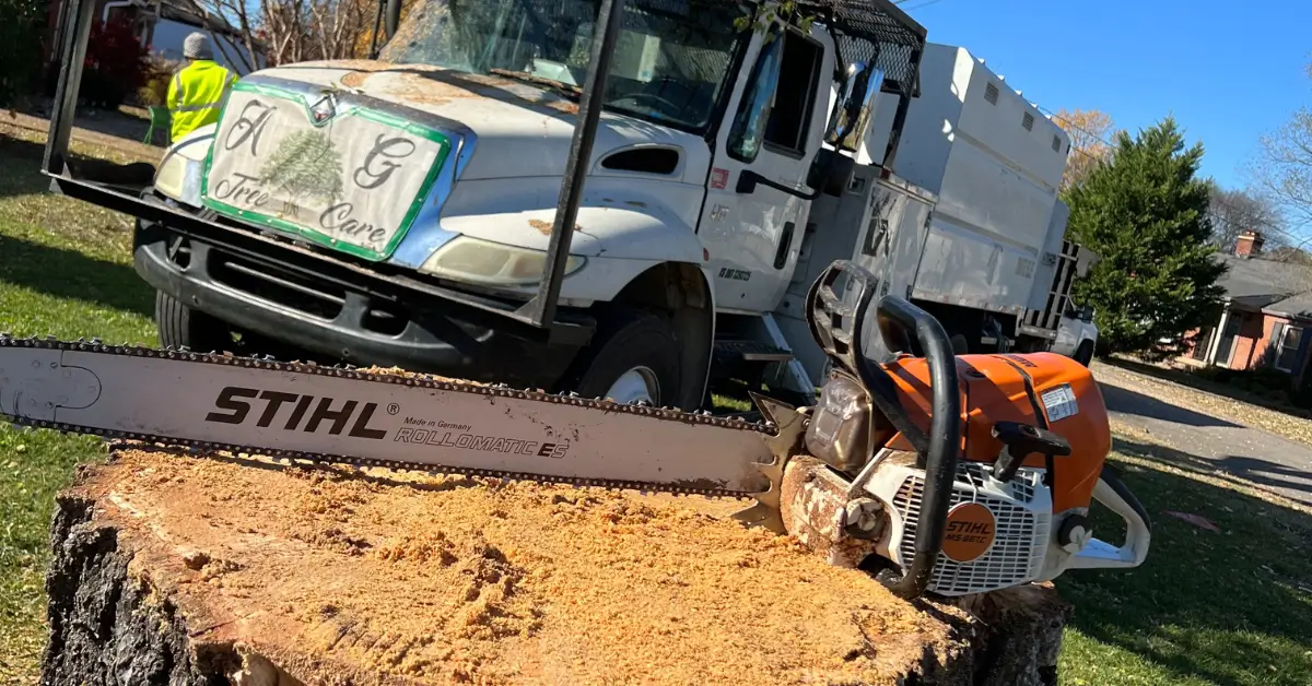 Stump Removal / Grinding